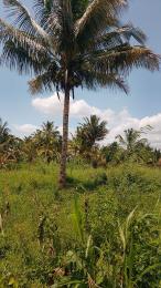 Land for sale Taveta Taita-Taveta