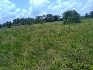 Land for sale Busika  Luweero Central