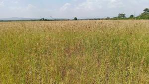 Land for sale Nakuru East Nakuru