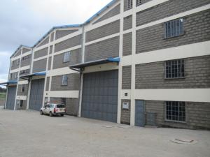 Warehouse Commercial Properties for rent Ruaraka Baba Dogo Nairobi