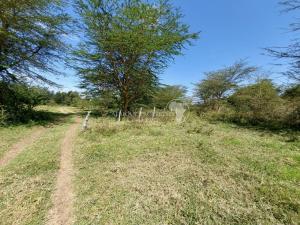Land for sale Nanyuki Nanyuki