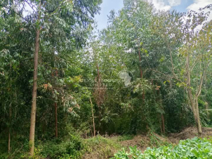 Land for sale Nanyuki Nanyuki