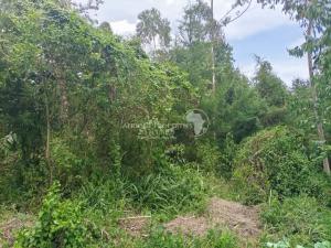 Land for sale Nanyuki Nanyuki