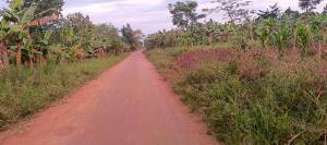 Land for sale Busika town council  Gayaza Wakiso Central