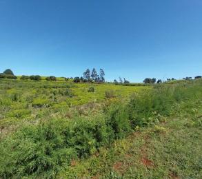 Land for sale Tigoni Limuru