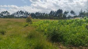 Land for sale Nyandarua Nyandarua