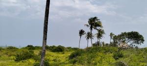 Land for sale Watamu Watamu