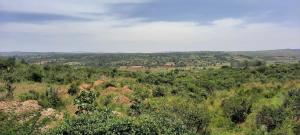 Land for sale Thika Kiambu