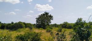 Land for sale Magarini Kilifi