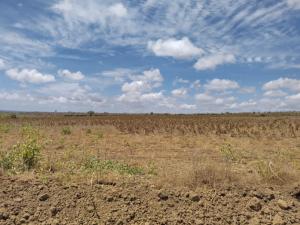 Land for sale Malindi Kilifi