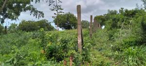 Land for sale Malindi Kilifi
