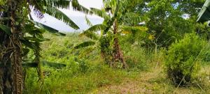 Land for sale Malindi Kilifi