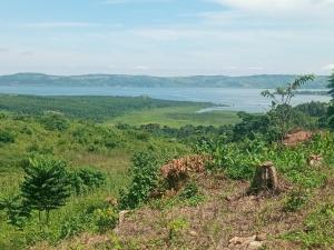 Land for sale Nkokonjeru katosi road  Buikwe Central
