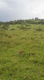 Land for sale Ibanda kazo Ibanda Western