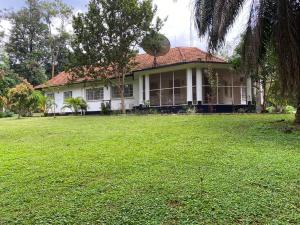 4 bedroom Apartment Block Apartment for rent kololo road Kampala Central