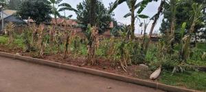 Land for sale Kiwatule road  Kampala Central