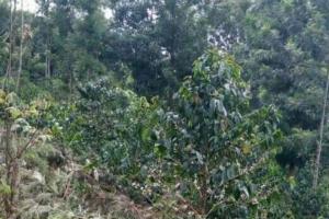 Land for sale Kirinyaga Central Kirinyaga