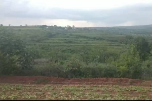 Land for sale Makueni Makueni