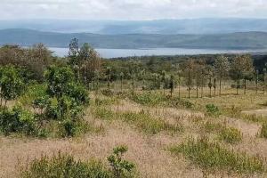 Land for sale Narok Narok