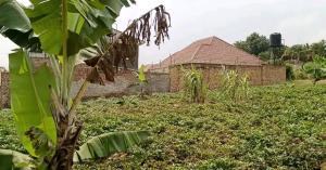 Land for sale Najjera road  Kampala Central Kampala Central
