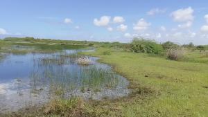 Land for sale Malindi Kilifi