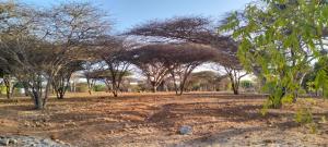 Land for sale Lamu West Lamu