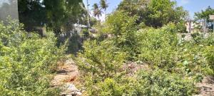 Land for sale Lamu West Lamu