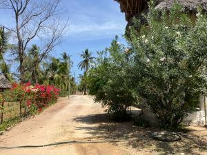 Land for sale Malindi Kilifi