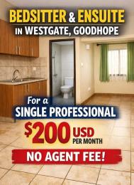 1 bedroom mini flat  Rooms for rent Westgate Harare West Harare