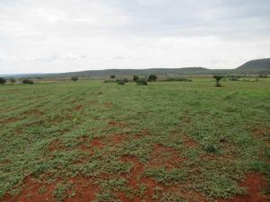 Agricultural Land for sale Solai Solai Rongai Nakuru