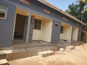 1 bedroom mini flat  Bungalow Apartment for rent Ntinda bukoto  Bukoto Kampala Central