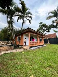 3 bedroom Villa for rent buziga Kampala Central