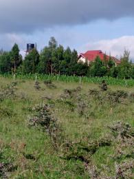 Agricultural Land for sale Birika town Mbirikani/Eselenkei Kajiado