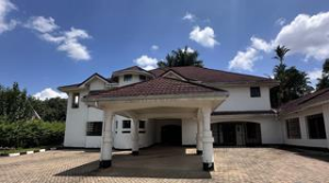 Commercial Properties for rent Nyari Nairobi