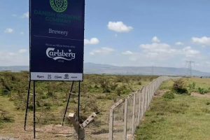 Land for sale Naivasha East Nakuru