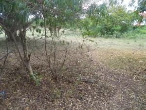 Land for sale Diani Mombasa
