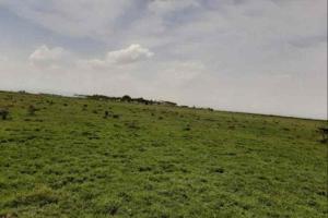 Land for sale Naivasha East Nakuru