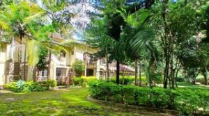 Commercial Properties for rent Karen Nairobi