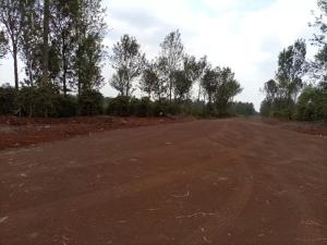 Land for sale Ruiru Kiambu