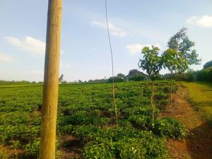 Commercial Land for sale Limuru Limuru East Kiambu