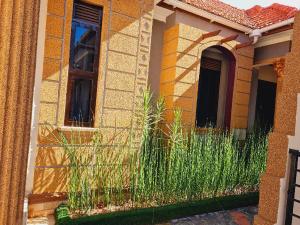 1 bedroom mini flat  Bungalow Apartment for rent kira road Kampala Central