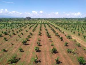 Land for sale Taveta Taita-Taveta