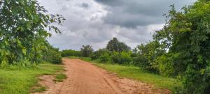 Land for sale Magarini Kilifi