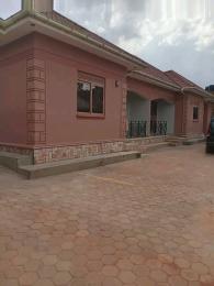 2 bedroom Bungalow Apartment for rent Namugongo  Kampala Central Kampala Central