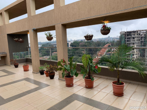 Flat&Apartment for rent Westlands Nairobi