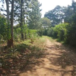 Land for sale Kalagala Gayaza road  Mukono Mukono Central