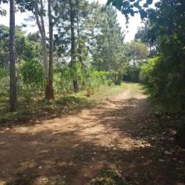 Land for sale Kalagala  Kalagala Mukono Central