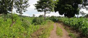Land for sale Mpiligwa mityana road  Mityana Central