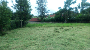 Land for sale Karen Nairobi