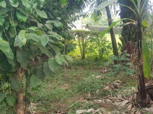 Land for sale Bombo road  Nabweru Wakiso Central